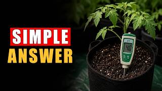 Can Low pH Be Caused by Phosphorus Deficiency?