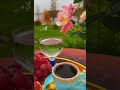 يابياع العنب فيروزيات Sweden اكسبلور فيروز Syrian صباح الخير تصويري Youtube قهوتي يابياع العنب فيروزيات Sweden اكسبلور فيروز Syrian صباح الخير تصويري Youtube قهوتي