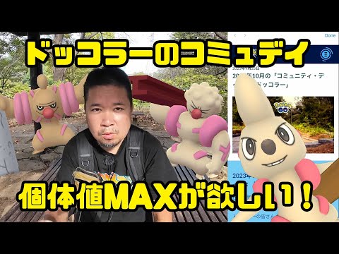 【ポケモンGO】前代未聞の幕開け、個体値MAXが欲しいのでガンバルンバ！ドッコラーコミュニティデイ