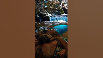 واتس اب قران كريم القارئ ناصر القطامي (سوره النبإ)