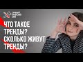 Что такое тренды? Сколько живут тренды? // Тренды в интернете