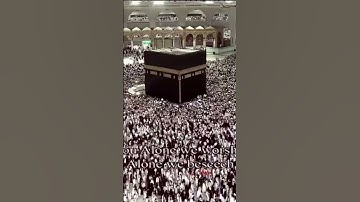 سورة الفاتحة في صلاة الوتر للشيخ #ياسر_الدوسري تلاها بتحبير عذب يسكن القلب | #رمضان١٤٤٥