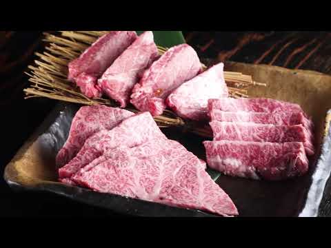 Yakiniku Yoisho Umeda Osaka Yakiniku SAVOR JAPAN