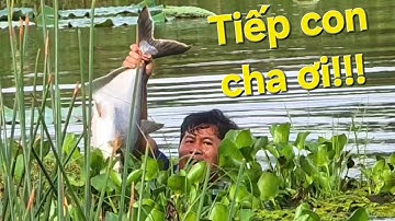 Liên tiếp đụng hàng cá Tràm Chim tập Tổng Hợp. Chuẩn bị những chuyến đi mới | Săn bắt SÓC TRĂNG |