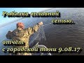 рыбалка сплавной сетью.  отчёт с городской тони. 9.08.17