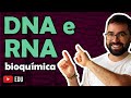 DNA e RNA (Ácidos Nucleicos) - Aula 11 - Módulo I: Biologia Celular | Prof. Guilherme