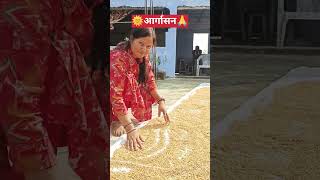 😊आज अर्गासन है दीदी गेहूं सुखा रही हैं🌅#shortfeed#viral#youtubeshorts#vlogviral#sonuvlog099#godda