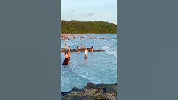 Bãi tắm Vàn Chảy #beach #coto #beachvibes #nature