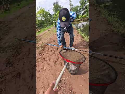 Câu cá hồ bán tự nhiên 10 Tấn cá ở Gia Bình - Bắc Ninh