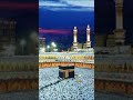 قرآن سنو، دل کو سکون دو 🕊️#Quran #QuranRecitation #IslamicShorts #QuranShorts #Tilawa