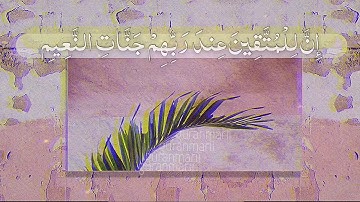 تلاوة خاشعة - محمود الطبيب