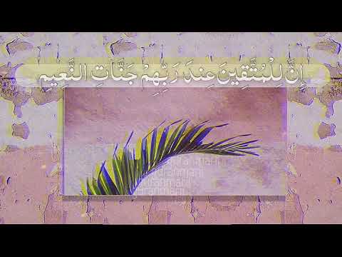 تلاوة خاشعة محمود الطبيب