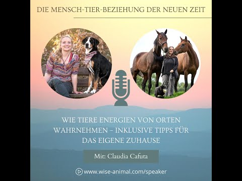 Wie Tiere Energien von Orten wahrnehmen – inklusive Tipps für das eigene Zuhause mit Claudia Cafuta