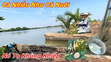 Câu cá chẽm , Câu cá bóng đục to khủng khiếp và Bữa cơm đặc biệt giữa rừng ngập mặn @HuyFishingVlog