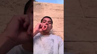 Yesterday’s Smoke Session!