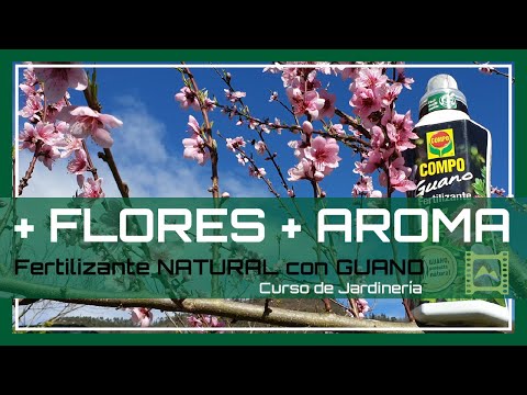 Video: Fertilizante Sulfato De Potasio: Instrucciones De Uso Y Composición, Utilizamos En El Jardín En Verano, Primavera Y Otoño, GOST. ¿Lo Que Es?