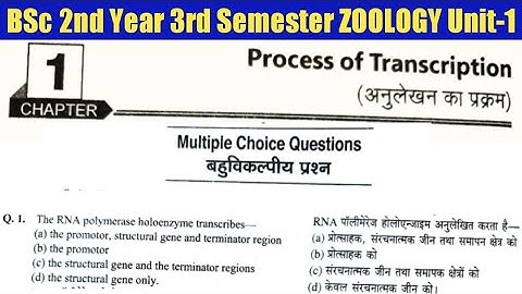 🔴 BSc 2nd Year 3rd Semester Zoology Unit 1 Process of Transcription MCQ 🔵 MCQ on Transcription