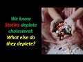 We know statins deplete cholesterol what about vitamins and minerals