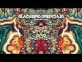 Blackbird Blackbird - Treehouse