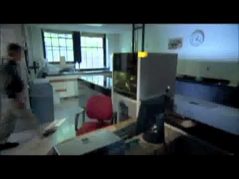 Cox Analytical Systems