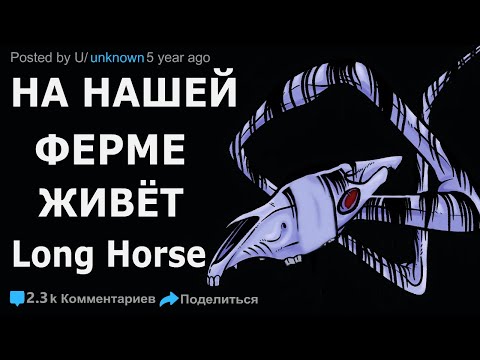 Video: Үй жаныбарын жоготуу менен күрөшүү