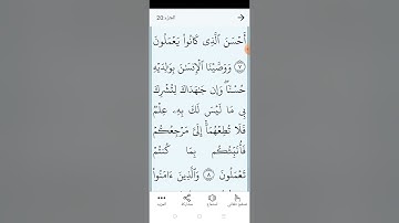 سورة العنكبوت بالتجويد المبسط والتلاوة الصحيحة الصفحة (٣٩٧)