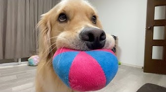 飆 つむじかぜ Youtube