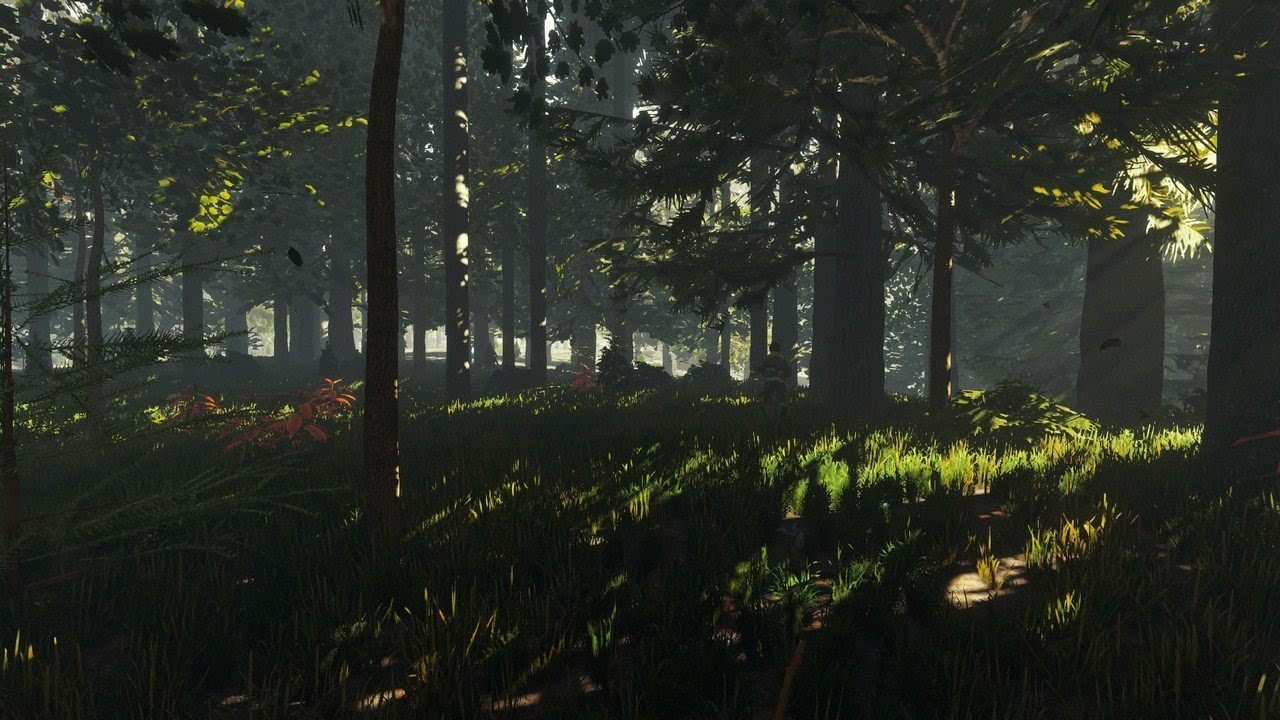 Les games. Forest игра. The Forest лес. Зе Форест 2. The Forest в ВР.