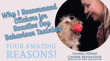 Why I Recommend Clickers for Reactive Dog Behaviour Training: Four Amazing Reasons!