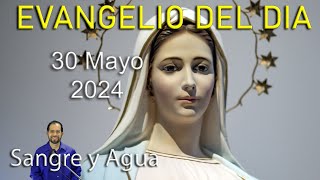 Evangelio Del Dia Hoy  Jueves 30 Mayo 2024 Sangre y Agua