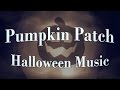 Pumpkin Patch - Halloween Composition