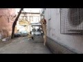 Странная скульптура на Покровке