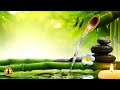 🔴 Relaxing Music 24/7, Stress Relief Music, Sleep Music, Meditation Music, Study, Calming Music