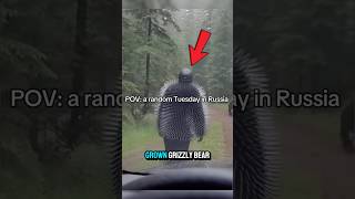 Bear Suit Meets Real Grizzly in Russia 😳TT creds @randovideo7#viral #shorts #grizzlybear #prank