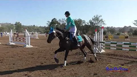 241S Nicole Fink on King West Novice Rider Champio...