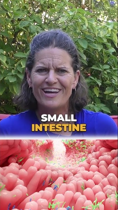 does-sweet-potato-help-with-gut-health-shortsfeed-youtube