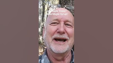 You can make Maple Syrup! First ID Maple trees at your house! Click lower rt corner for complete vid