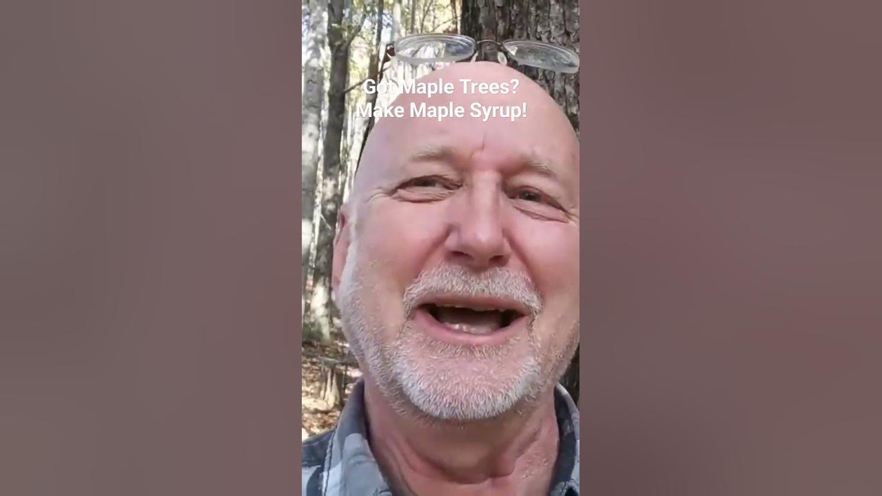 You can make Maple Syrup! First ID Maple trees at your house! Click