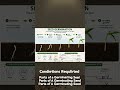 “क्या आपने कभी बीज को ज़िंदा होते देखा है? 😱🌱” seed germination process of plant#shorts#you tube