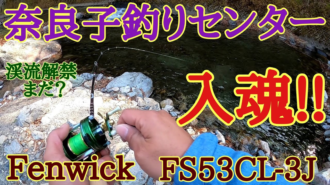 TIEMCO Fenwick FS53CL-3Jとアンバサダー2500Cで奈良子釣りセンター 