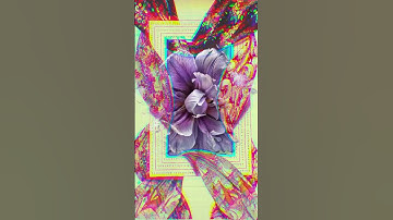 #visuallart #visualization #musicvisuals