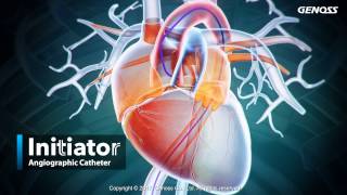 Initiator Angiographic Catheter video screenshot 3