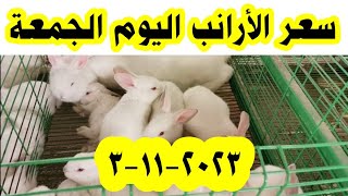 سعر الأرانب اليوم الجمعة 3-11-2023 / سعر الأرانب في المحلات اليوم