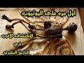 صناديق ميرلين الغامضة اغرب فيذيو ستشاهده في حياتك