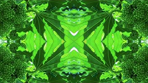 another green world mp4
