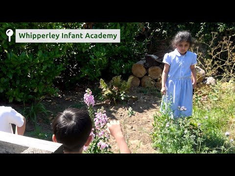 Video Whipperley Infant Academy | The Climate Action Teachers Champions (CATCh) Scheme