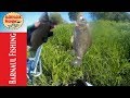 ЛОВЛЯ  КАРАСЯ ВЕСНОЙ .Ловля ОКУНЯ!Отличная рыбалка. (Barnaul Fishing)