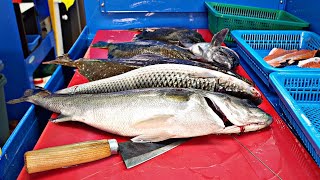 Sashimi is fresh and tasty. fish cutting, fish trimming