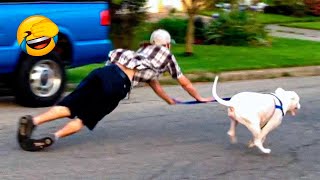 Funniest Animals 😄 New Funny Cats and Dogs Videos 😹🐶 by Pet Hub 1,085 views 8 days ago 11 minutes, 35 seconds