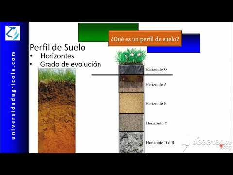 Video: ¿Qué es el perfil del suelo y sus tipos?
